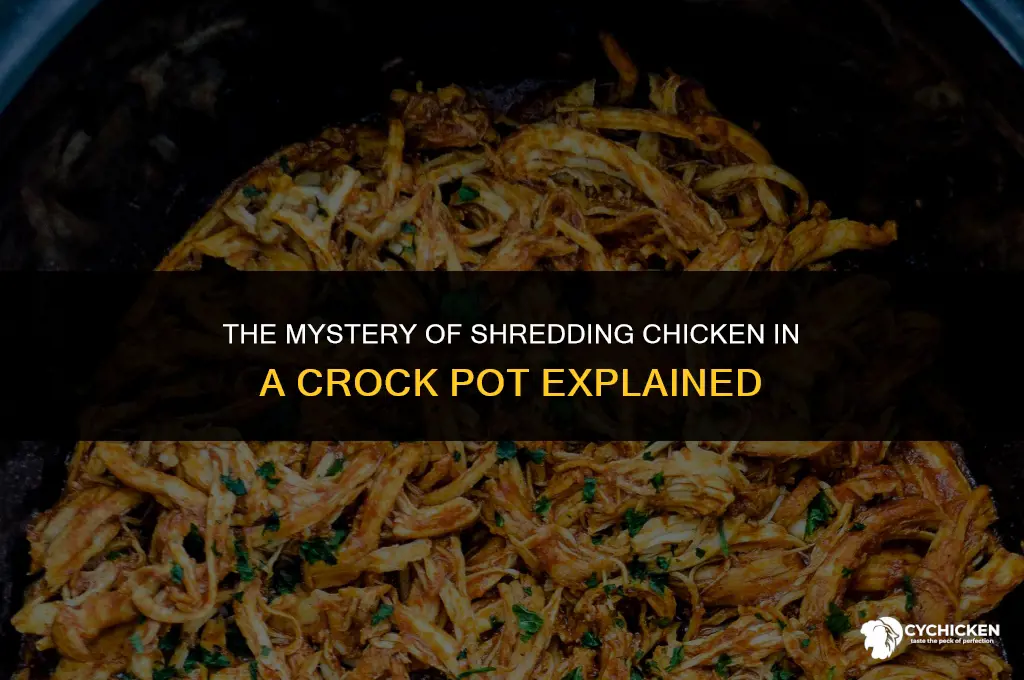 why does chicken break up in a crock pot