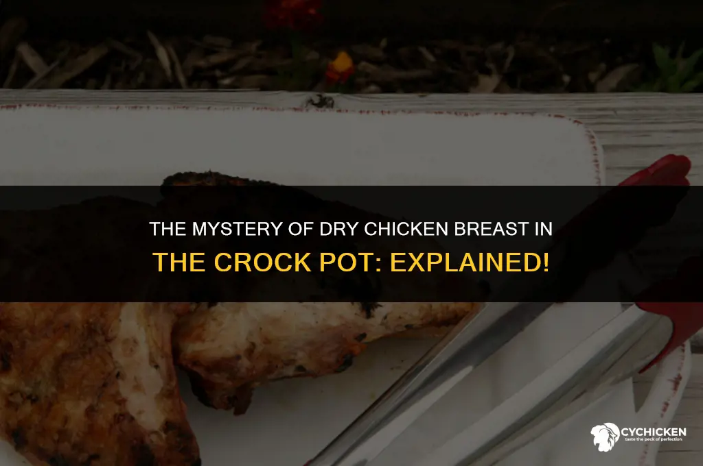 why does chicken breast drying out in crock pot