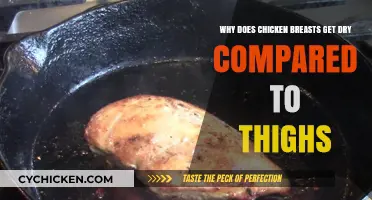 Why Chicken Breasts Dry Out: Unraveling the Thigh Meat Mystery