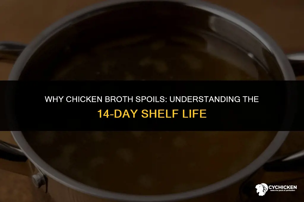 why does chicken broth go bad after 14 days