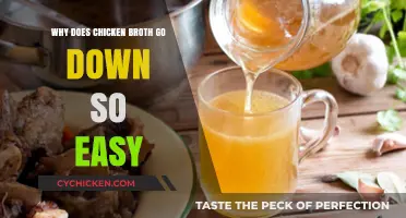 Savoring Comfort: The Surprisingly Easy Consumption of Chicken Broth
