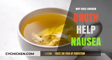 Soothe Your Stomach: The Surprising Benefits of Chicken Broth for Nausea Relief