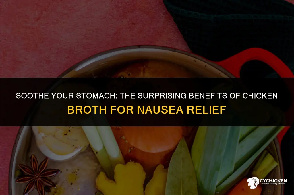 why does chicken broth help nausea