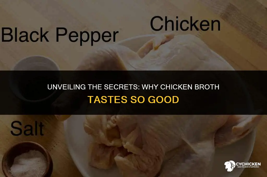 why does chicken broth so tasty