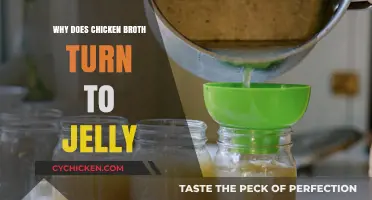 From Liquid to Gel: The Surprising Science Behind Chicken Broth's Jelly Transformation