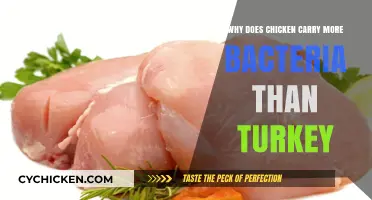 Why Chicken Often Carries More Bacteria Than Turkey: Explained