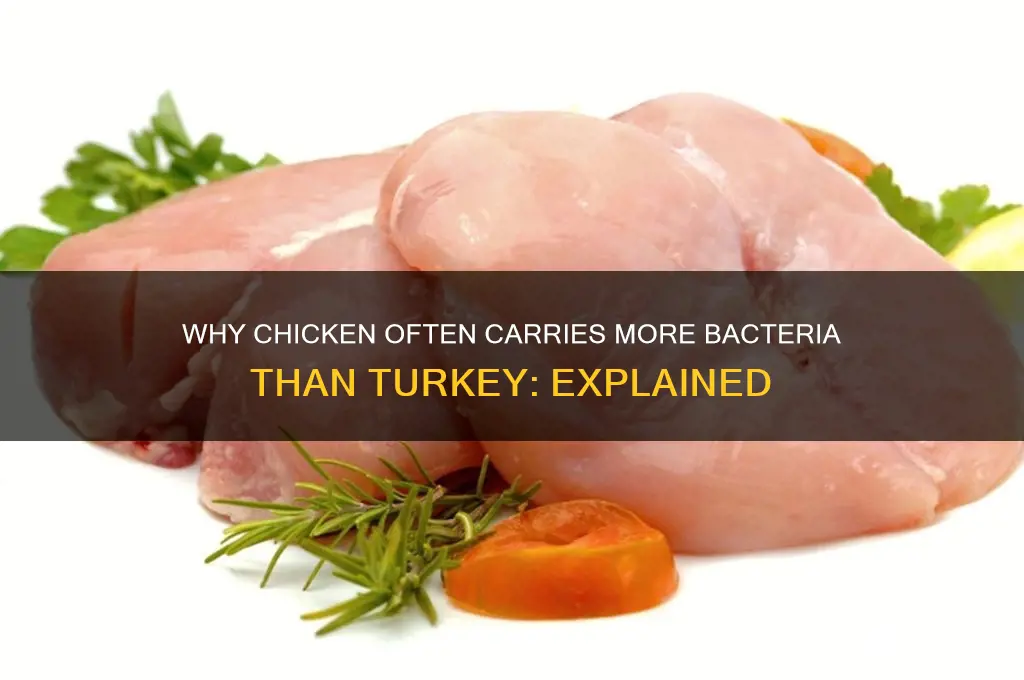 why does chicken carry more bacteria than turkey