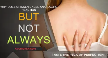Chicken Allergies: Why Do Some People React?