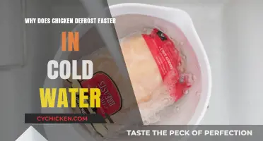 Cold Water Defrosting: Why Chicken Thaws Faster Than You Think