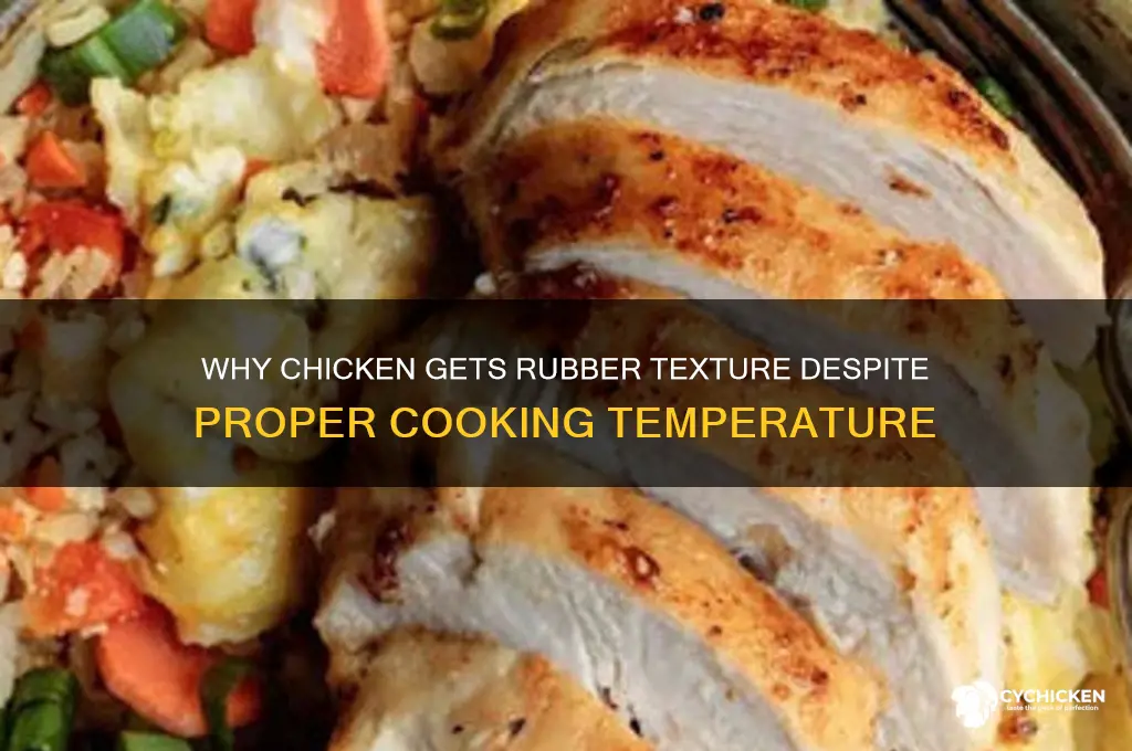 why does chicken feel rubbebery even at temp