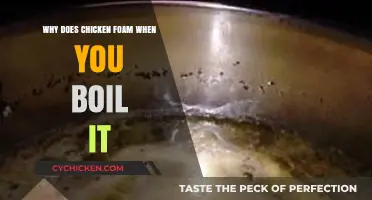 Why Chicken Foams When Boiled: Uncovering the Science Behind It