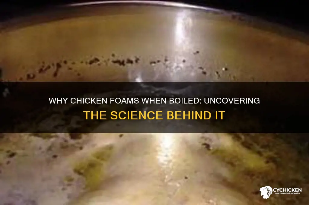 why does chicken foam when you boil it