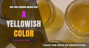 Why Chicken Grease Turns Yellow: Uncovering the Science Behind the Hue