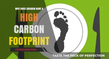 Why Chicken's Carbon Footprint is Surprisingly High: Uncovering the Truth