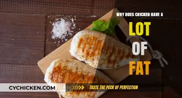 Understanding Why Chicken Contains High Levels of Fat