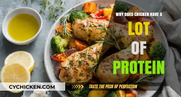 Why Chicken is a High-Protein Food: Unlocking its Nutritional Benefits