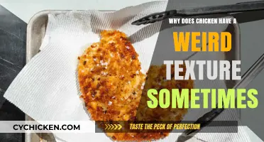 Why Chicken Texture Can Be Odd: Causes and Solutions Explained