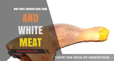 Why Chicken Has Dark and White Meat: The Science Behind It