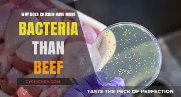 Why Chicken Harbors More Bacteria Than Beef: Uncovering the Surprising Truth