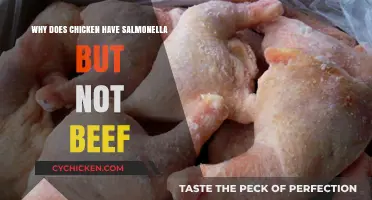 Why Chicken Often Carries Salmonella While Beef Rarely Does
