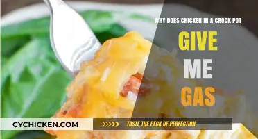 Unraveling the Mystery: Why Chicken in a Crock Pot Causes Gas