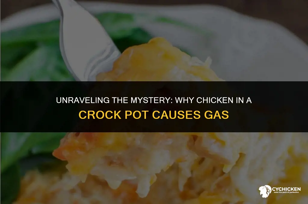 why does chicken in a crock pot give me gas