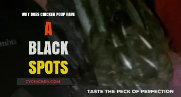 Why Chicken Poop Has Black Spots: Causes and Concerns Explained