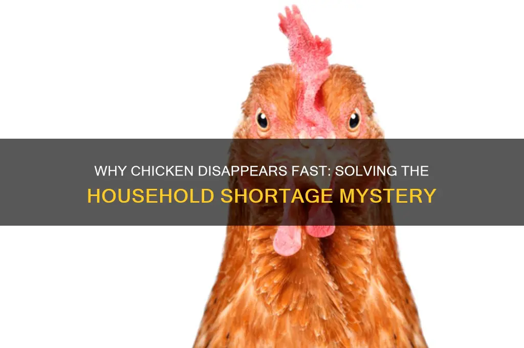 why does chicken runn out in my house