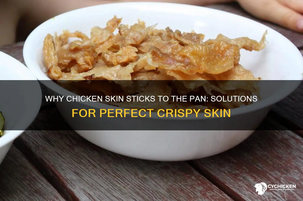 why does chicken skin stick to the pan
