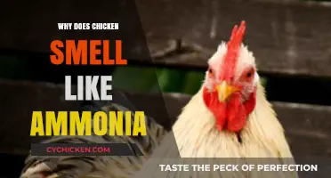 Unraveling the Mystery: Why Chicken Sometimes Smells Like Ammonia