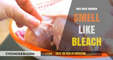 Unraveling the Mystery: Why Your Chicken Smells Like Bleach