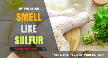 Unraveling the Mystery: Why Chicken Sometimes Smells Like Sulfur
