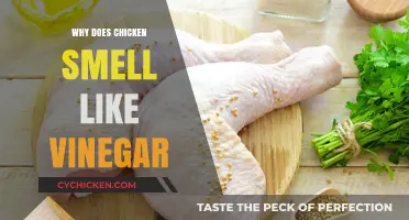 Unraveling the Mystery: Why Chicken Sometimes Smells Like Vinegar