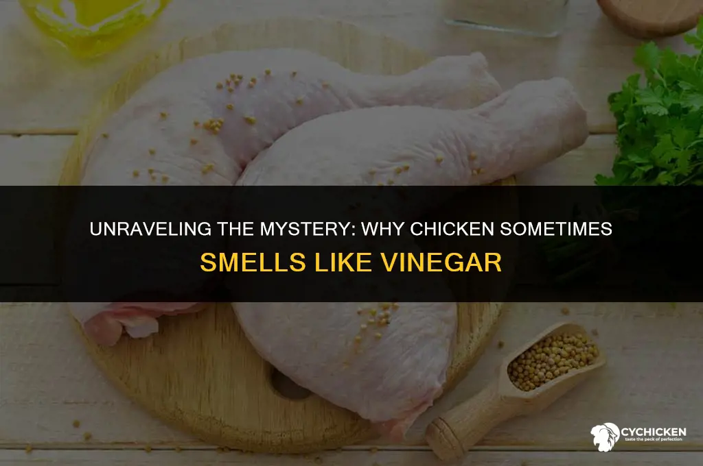 why does chicken smell like vinegar