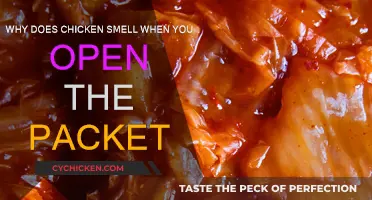 Chicken Stinks: Why Does It Smell So Bad?