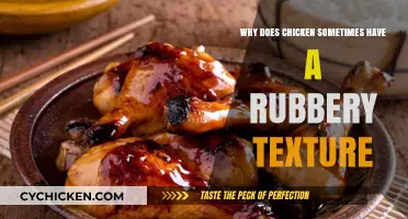 Why Chicken Gets Rubbery: Causes and Prevention Tips