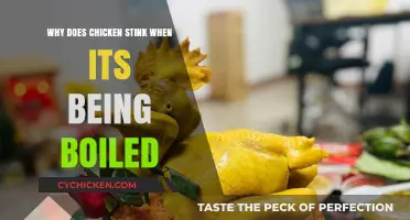 Why Boiling Chicken Causes Unpleasant Odors: Unraveling the Smelly Mystery