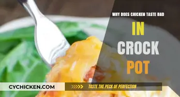 Unraveling the Mystery: Why Chicken Tastes Bland in the Crock Pot