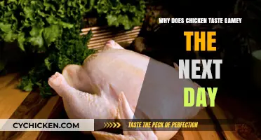 Why Chicken Tastes Gamey the Next Day: Explained