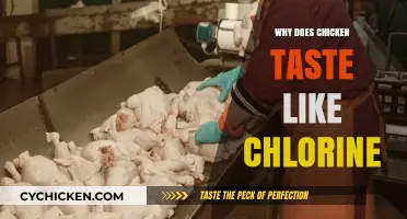 Unraveling the Mystery: Why Your Chicken Tastes Like Chlorine