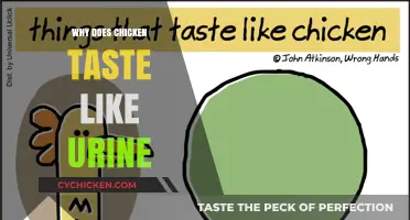 Unraveling the Mystery: Why Chicken Can Taste Like Urine