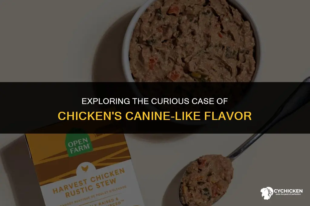 why does chicken taste like wet dog