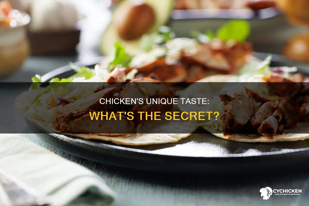 why does chicken taste so different from other meat