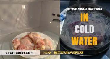 Why Chicken Defrosts Quicker in Cold Water: The Science Explained