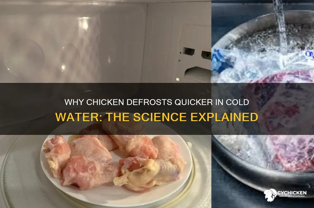 why does chicken thaw faster in cold water