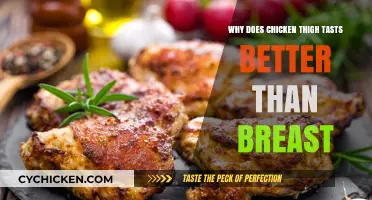 Why Chicken Thighs Outshine Breasts in Flavor and Juiciness