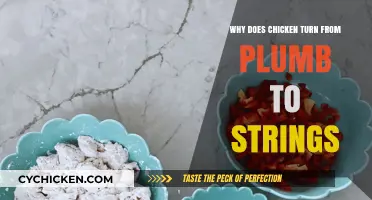 Why Chicken Transforms from Plump to Stringy: Unraveling the Mystery