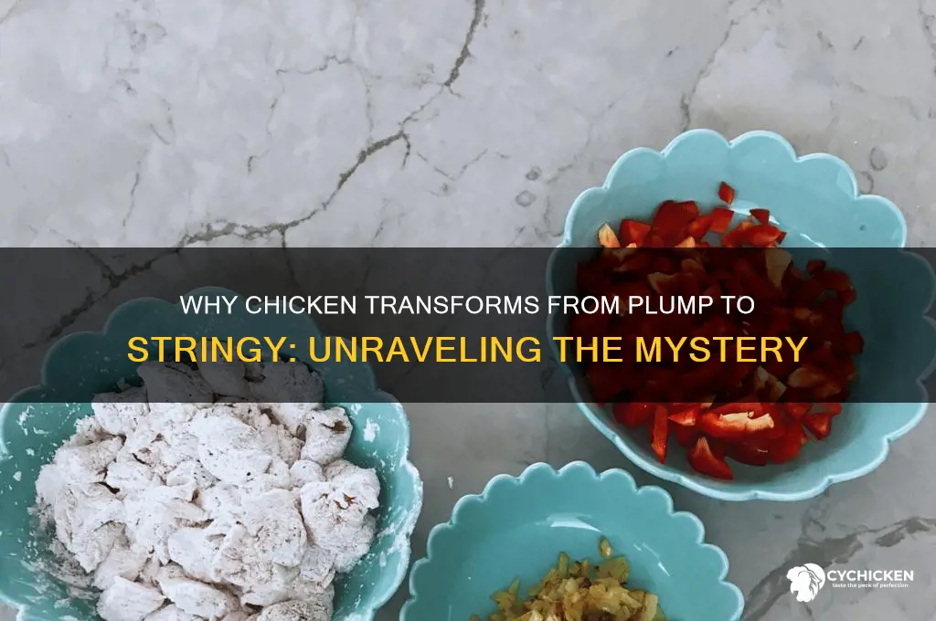 why does chicken turn from plumb to strings