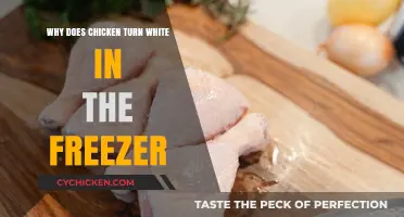 Why Chicken Turns White in the Freezer: Explained
