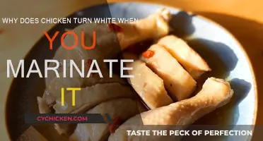 How Marinades Transform Chicken's Natural Color